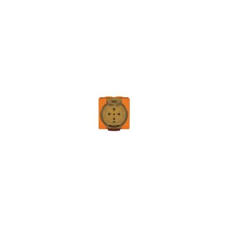 Socket Outlet IP66 50A 500V 5 Round Pin Buffalo Orange Trader