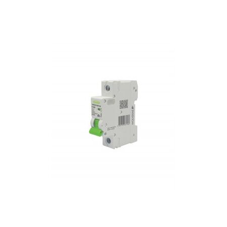 MCB 6kA 1 Pole 10A C Curve 240V Wolverine Trader