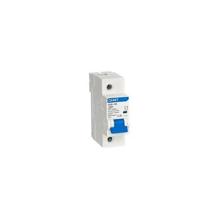 MCB 1P 100A B Curve 10kA 125A Frame NXB Chint