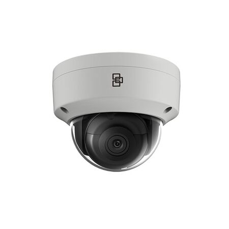 4MP Dome Camera 2.8mm Lens IR 30m H.265+ Grey TruVision