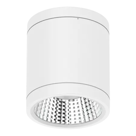 Neo-Pro Surface Mount DALI LED Downlight 13W IP65 White Domus