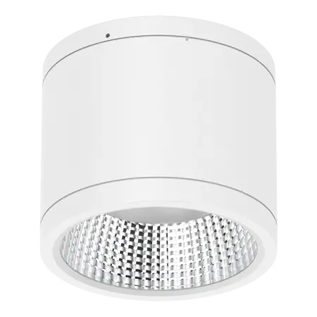 Neo-Pro Surface Mount DALI LED Downlight 25W IP65 White Domus