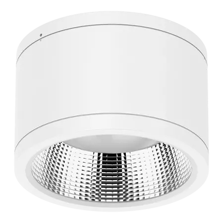 Neo-Pro Surface Mount DALI LED Downlight 35W IP65 White Domus