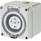 5 Pin 50A Socket