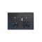 Flat Cat - Power Point Fully Integrated Dual USB Charger (Type A & C) Auto Switched  Matt Black  x1 - FLPP2USBAUMBK