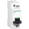 Acti9, Miniature circuit breaker (MCB), C120H, 1P, 63A, B curve, 15000A (IEC/EN 60898-1), 15kA (IEC/EN 60947-2)