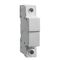 Acti9, Terminal block, 1P blank, (no electrical connection)