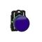Harmony XB5, Pilot light, grey plastic, blue, 22mm, universal LED, plain lens, 24V AC DC