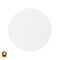 Halo White RGBW LED Wall Light