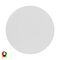 Halo White RGBW LED Wall Light