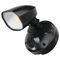 Brilliant Black Shielder LED Single Light Floodlight
