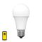 Brilliant Smart Wi-Fi A60 RGB+W LED Biorhythm E27 Globe