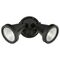 Brilliant Black Stinger LED Twin Floodlight