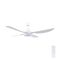 Brilliant White Vector 52'' DC 4-Blade Ceiling Fan with Light