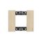 Bticino Living Now 2 Module Coverplate Gold