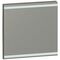Arteor - MyHOME - Square key cover BUS/SCS - without marking - 2 modules - magnesium