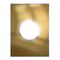 ARTEOR Round 2 Module Horizontal Coverplate Brushed Gold