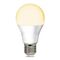 HPM A60 8W 945lm LED Edison Globe Warm White