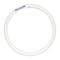 Nelson - Fluorescent T5 lamp Circular - 40W cool white 4000K 295mm