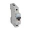 TX³ - MCB 6000 - Thermal magnetic circuit breaker - C curve - prong/fork type supply busbar - 1P - 230/400V a.c. - 32A - 1 module