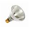 Nelson - Incandescent PAR38 Edison E27 - 120W