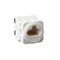 Excel Life - RJ45 socket/mechanism Cat6 UTP 8 contacts white
