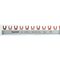 Legrand 2P 1 Meter Fork-Type Supply Busbar