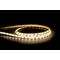 4.8w 12v DC IP54 LED Strip 4000k