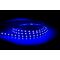 14.4w IP20 RGB + 5500k LED Strip (RGBC)