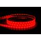 14.4w IP67 RGB + 5500k LED Strip (RGBC)