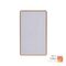 Wifi Single Gang White with Gold Trim Wall Switch