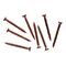 Clipsal - General Accessories, Bugle Head, Self Drilling Point, 8 X 50mm, Bag 100