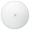 Airflow, Performance Sweep Fan Oyster Light