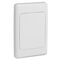 2000 Series, Flush Surround and Gridplate, Blank, Vertical/Horizontal Mount, Standard Size - White Electric