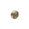 Clipsal - Cable Management, Screwed Conduit, 20mm, Brass Plug