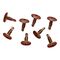 Clipsal - General Accessories, Washer Head, Self Drilling, 8 x 12mm, Bag 100