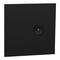 C-Bus, SpaceLogic Wall Plate, Saturn Zen, E-Series, Key Input unit, 1 key - Zen Black