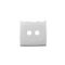 Standard Series, Flush Plate, 2 Gang, Large Format - White Electric