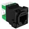 Clipsal Actassi, RJ45 Jack, CAT6 UTP 30M - Black
