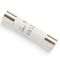 FUSE 630mA 250V
