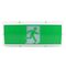 LED WEATHERPROOF EXIT LIGHT 3W 240V STONE