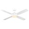 Airnimate 133cm AC Ceiling Fan with LED Light