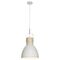 Calico 1Lt Pendant Light