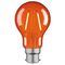 Classic A60 B22 Filament Globe