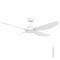 Jota 4B 132cm DC Ceiling Fan with Remote