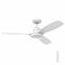 Raptor S 122cm DC Ceiling Fan with LED Light