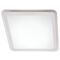 Allen II 24W LED Ceiling Light