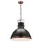 Tonic 1Lt Large Pendant Light
