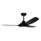 EVO II, 50in DC 3 ABS BLADED BLK + LED, REMOTE & WALL CNTRL