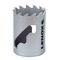 HOLESAW, CARBIDE TIPPED 41mm 1-5/8in